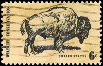 Royalty Free Photo of 1970 US Stamp hows the American Buffalo, Wildlife Conservation