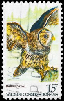 Royalty Free Photo of 1977 US Stamp Shows the Barred Owl, Wildlife Conservation