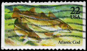 Royalty Free Photo of 1986 US Stamp Shows the Atlantic Cod