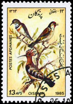 AFGHANISTAN - CIRCA 1985: A Stamp shows image of a Hoopoe from the series Birds, circa 1985