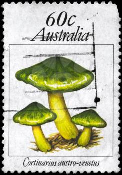 AUSTRALIA - circa 1981: A Stamp printed in AUSTRALIA shows image of the Cortinarius austro-venetus, from the series Fungi, circa 1981