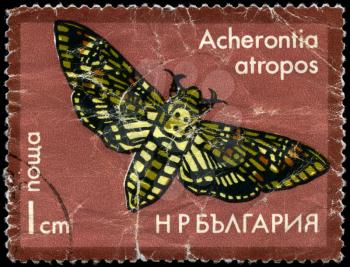 BULGARIA - CIRCA 1975: A Stamp printed in BULGARIA shows image of a Death's-head Hawkmoth with the inscription Acherontia atropos from the series Moths, circa 1975