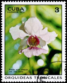 CUBA - CIRCA 1973: A Stamp printed in CUBA shows image of a Vanda Miss Joaquim, from the series Tropical Orchids, circa 1973