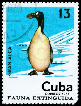 CUBA - CIRCA 1974: A Stamp printed in CUBA shows image of a Great Auk from the series Extinct Birds, circa 1974