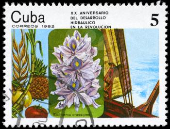 CUBA - CIRCA 1982: A Stamp printed in CUBA shows the Fruit, Eichornia crassipes, Ship, from the series Hydraulic Development Plan, 20th Anniv., circa 1982