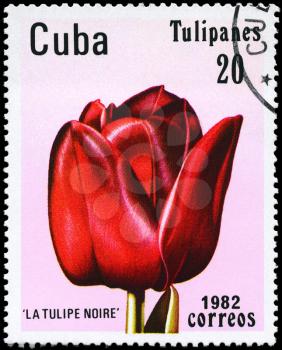 CUBA - CIRCA 1982: A Stamp shows image of a Tulip with the inscription La Tulipe Noire, from the series Tulips, circa 1982