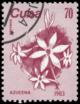 CUBA - CIRCA 1983: A Stamp printed in CUBA shows the Lily, from the series Flowers, circa 1983