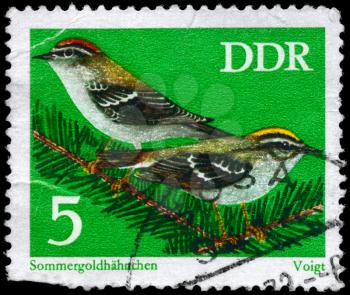 GDR - CIRCA 1973: A Stamp shows image of a Firecrests from the series Songbirds, circa 1973