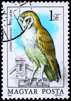 HUNGARY - CIRCA 1984: A Stamp shows image of a Barn Owl with the inscription Tyto alba from the series Owls, circa 1984