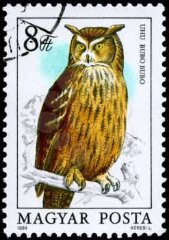 HUNGARY - CIRCA 1984: A Stamp shows image of a Eurasian Eagle-owl with the inscription Bubo bubo from the series Owls, circa 1984