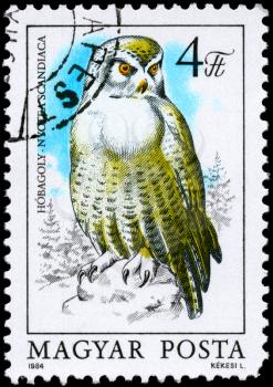 HUNGARY - CIRCA 1984: A Stamp shows image of a Snowy Owl with the inscription Nyctea scadiaca from the series Owls, circa 1984