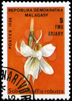 MALAGASY REPUBLIC - CIRCA 1988: A Stamp printed in MALAGASY REPUBLIC shows image of a Sobennikoffia robusta, from the series Orchids, circa 1988