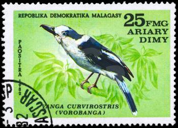 MALAGASY REPUBLIC - CIRCA 1982: A Stamp shows image of a Vanga with the inscription Vanga curvirostris (vorobanga), series, circa 1982