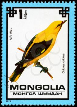 MONGOLIA - CIRCA 1979: A Stamp shows image of a Golden Oriole with the designation Oriolus oriolus from the series Protected Birds, circa 1979