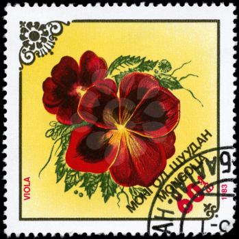 MONGOLIA - CIRCA 1983: A Stamp printed in MONGOLIA shows image of a Violets, from the series Local Flowers, circa 1983