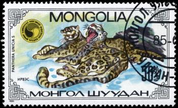 MONGOLIA - CIRCA 1985: A Stamp printed in MONGOLIA shows image of a running Leopards, with the description Panthera unicias, series, circa 1985
