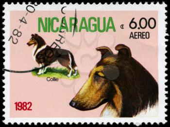 NICARAGUA - CIRCA 1982: A Stamp printed in NICARAGUA shows image of a Collie from the series Dogs, circa 1982