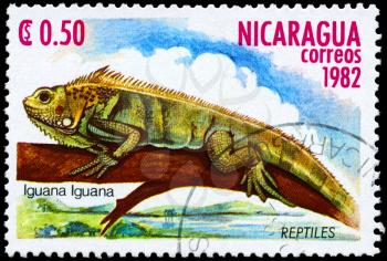 NICARAGUA - CIRCA 1982: A Stamp printed in NICARAGUA shows the image of a Iguana with the description Iguana iguana from the series Reptiles, circa 1982