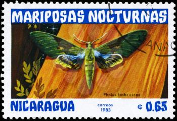 NICARAGUA - CIRCA 1983: A Stamp printed in NICARAGUA shows image of a Moth with the inscription Pholus lasbruscae from the series Nocturnal Moths, circa 1983