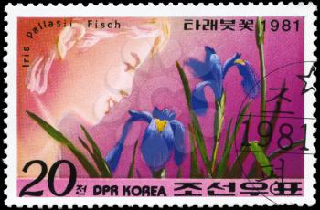NORTH KOREA - CIRCA 1981: A Stamp printed in NORTH KOREA shows image of a Iris Pallasii Fisch, from the series Designs, circa 1981