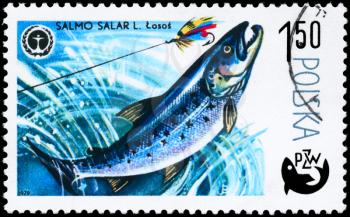 POLAND - CIRCA 1979: A Stamp printed in POLAND shows image of a Atlantic Salmon with the description Salmo salar from the series Fish and Environmental Protection Emblem, circa 1979