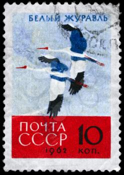 USSR - CIRCA 1962: A Stamp printed in USSR shows image of a White Cranes, circa 1962