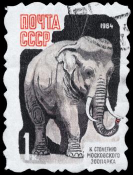 USSR - CIRCA 1964: A Stamp printed in USSR shows image of a Elephant from the series 100th anniv. of the Moscow zoo, circa 1964