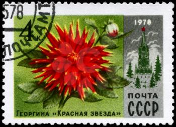 USSR - CIRCA 1978: A Stamp printed in USSR shows the Dahlia Red Star and Spasski Tower, from the series Moscow Flowers, circa 1978