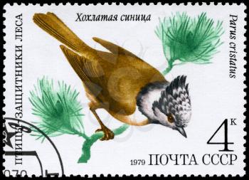USSR - CIRCA 1979: A Stamp shows image of a Crested Tit with the inscription Parus cristatus from the series Birds - defenders of forest, circa 1979