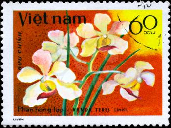 VIETNAM - CIRCA 1979: A Stamp shows image of a Vanda with the inscription Vanda Teres, from the series Orchids, circa 1979