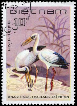 VIETNAM - CIRCA 1983: A Stamp shows image of a Asian Openbill Stork with the inscription Anastomus oscitans from the series Water Birds, circa 1983