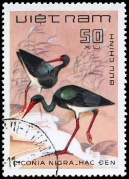 VIETNAM - CIRCA 1983: A Stamp shows image of a Black Stork with the inscription Ciconia nigra from the series Water Birds, circa 1983