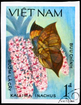 VIETNAM - CIRCA 1983: A Stamp printed in VIETNAM shows image of a Butterfly with the description Kallima inachus, series, circa 1983
