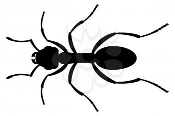 Illustration of the black silhouette ant insect