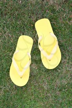Royalty Free Photo of Flip Flops on Grass