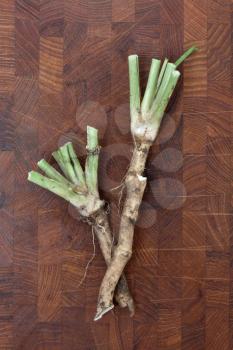 Royalty Free Photo of Two Roots of Horseradish