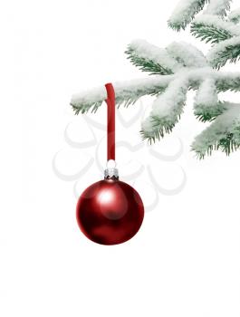 Royalty Free Photo of an Ornament on a Tree