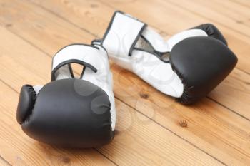 Royalty Free Photo of Boxing Gloves