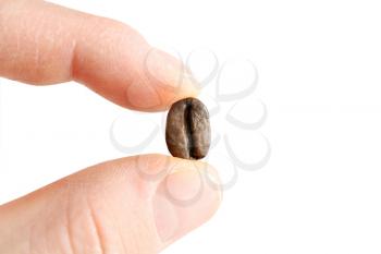 Royalty Free Photo of a Person Holding a Coffee Bean
