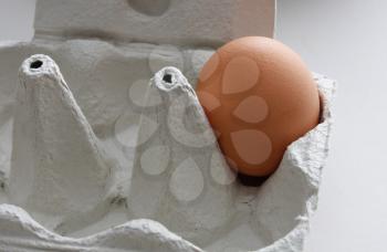 Royalty Free Photo of an Egg in a Carton