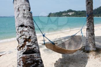 Royalty Free Photo of a Hammock on the Beach