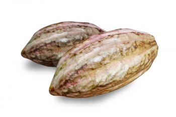 Royalty Free Photo of Cocoa Beans