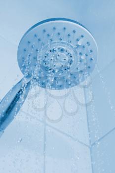 Royalty Free Photo of a Shower Head