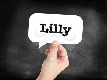 Lilly written in a speechbubble 
