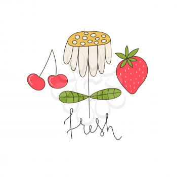Vector Spring and Summer Greeting Card with daisy, cherry and strawberry. Fresh slogan
