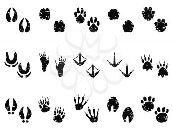 isolated black grungy Animal Footprint Track icon from white background