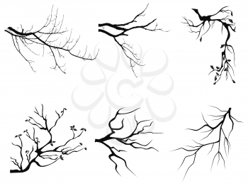 isolated branch Silhouette shapes from white background