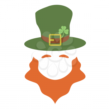 isolated simple leprechaun with hat vector from white background
