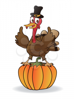 isolated the thanksgiving turkey on pumpkin from white background