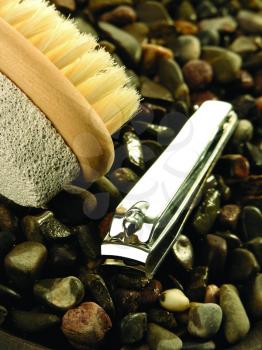 Royalty Free Photo of Clippers and a Brush